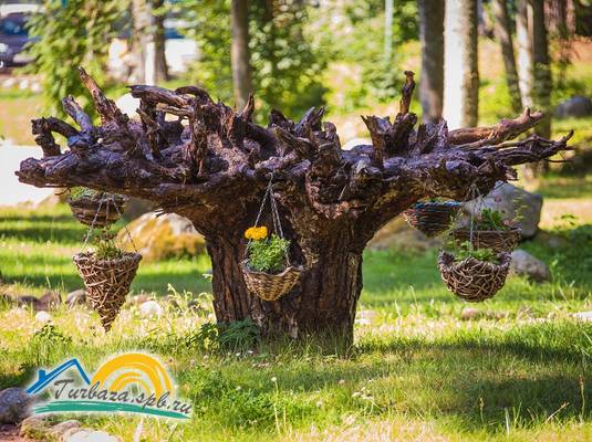 Парк активного отдыха «ЛосевоДа»