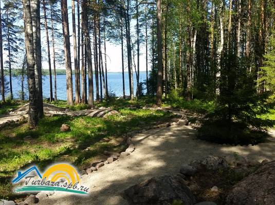 База отдыха «Black Fox»