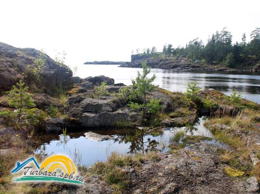 Кемпинг «Парк Ладога»