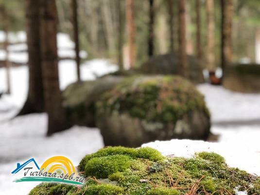 Турбаза «Вуокса-Хутор»