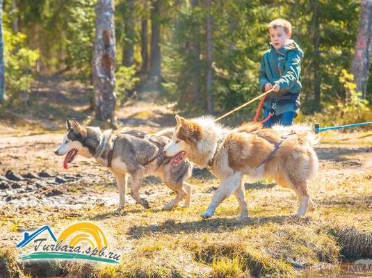База отдыха «Пасторское озеро»
