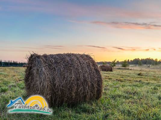 Глэмпинг «Северный Крым»