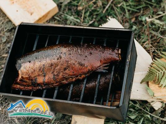 Кемпинг и гостевой дом «Кирлахти – бухта Ясная»