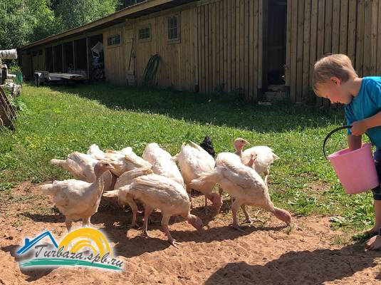 Экоферма «Серебрянка»