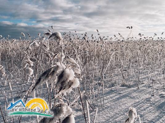 Загородный комплекс «The Lagom»