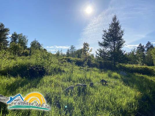 База отдыха «Поместье Ампиала»