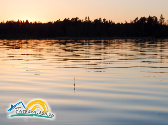 База отдыха «Поместье Ампиала»