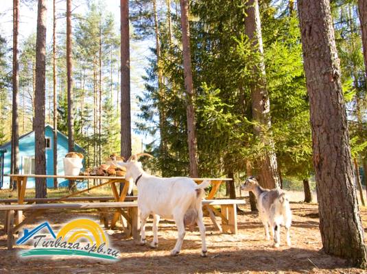 База отдыха «Заветное»