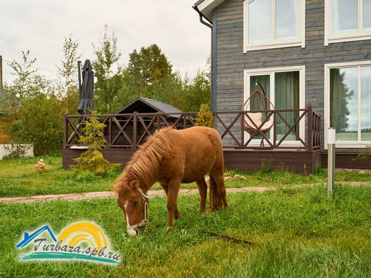 База отдыха «Ялкала»